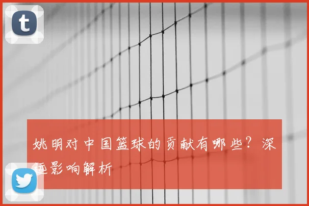 姚明对中国篮球的贡献有哪些？深远影响解析